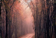 PG电子官方-北风破坚冰！阿森纳客场鏖战斩落天空之城，新枪王的信仰之跃