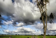 PG平台-西悉尼流浪者赛前战术培训，提升比赛执行力