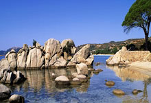 PG电子官方-鹿岛鹿角锋线火力全开，防守压力山大