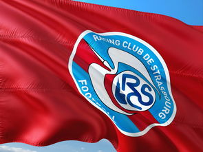 PG电子试玩官网-帕尔梅拉斯训练基地开放，备战世俱杯进入冲刺阶段