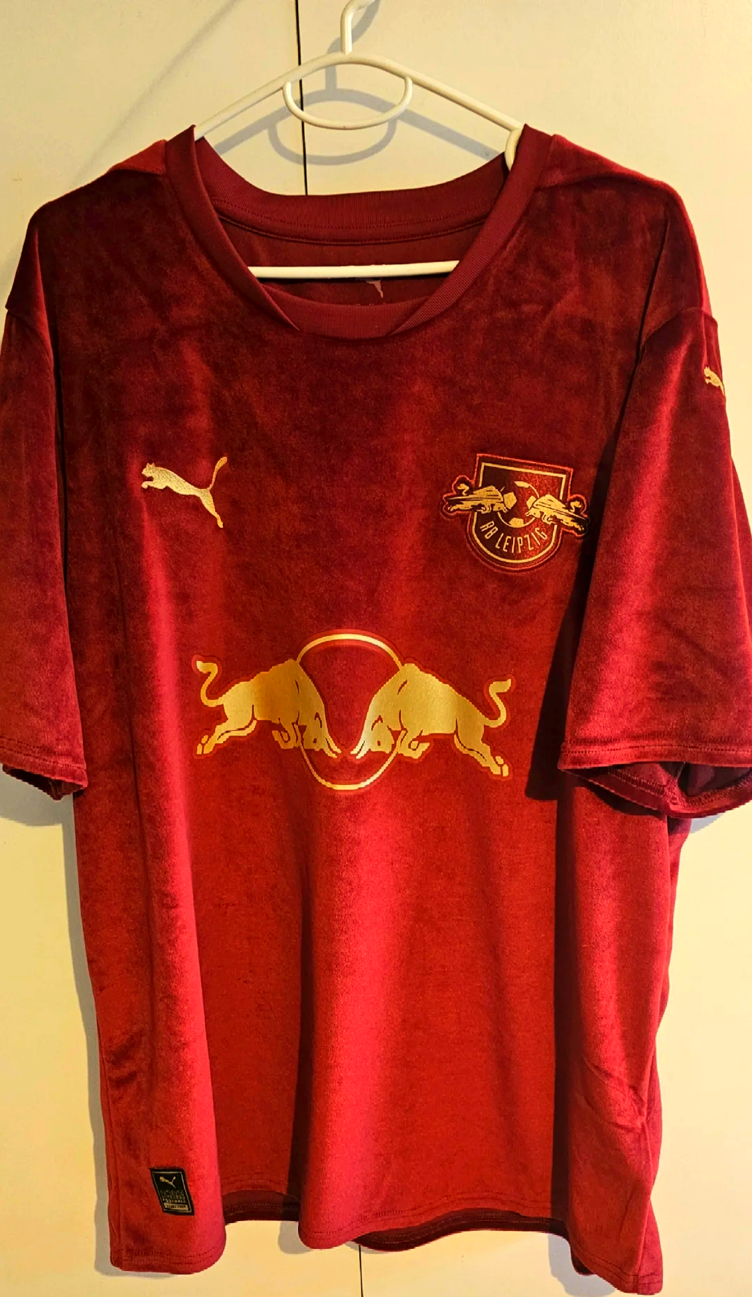 PG电子官方-RB莱比锡士气高涨，胜利在望