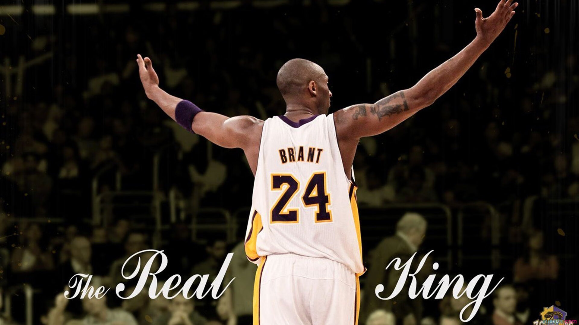 马拉喀什之夜，奥利维耶的魔法，让巴斯克雄狮迷失在撒哈拉热风